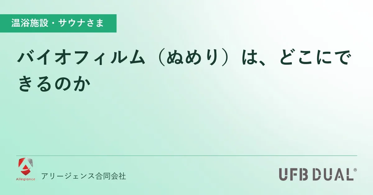 バイオフィルム(ぬめり)は、どこにできるのか
