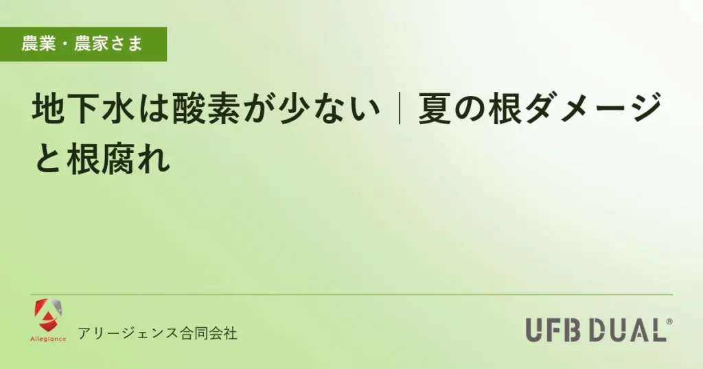 地下水は酸素が少ない｜夏の根ダメージと根腐れ