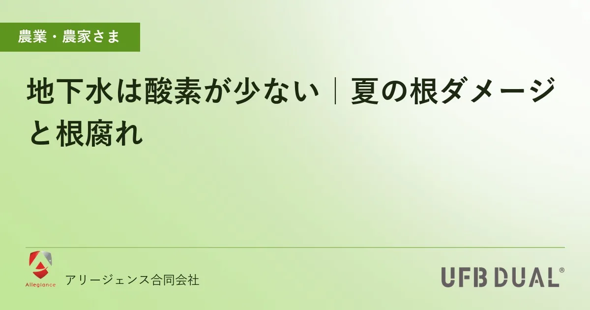 地下水は酸素が少ない|夏の根ダメージと根腐れ