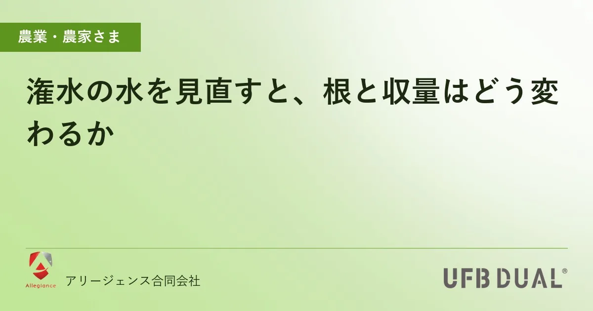 潅水の水を見直すと、根と収量はどう変わるか