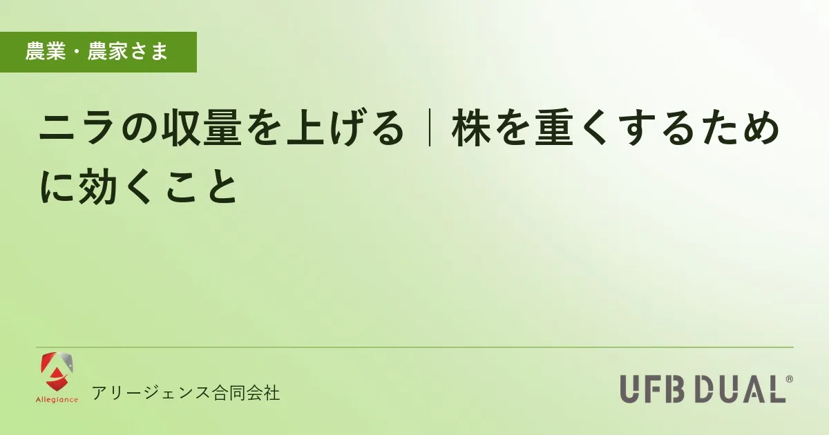 ニラの収量を上げる|株を重くするために効くこと