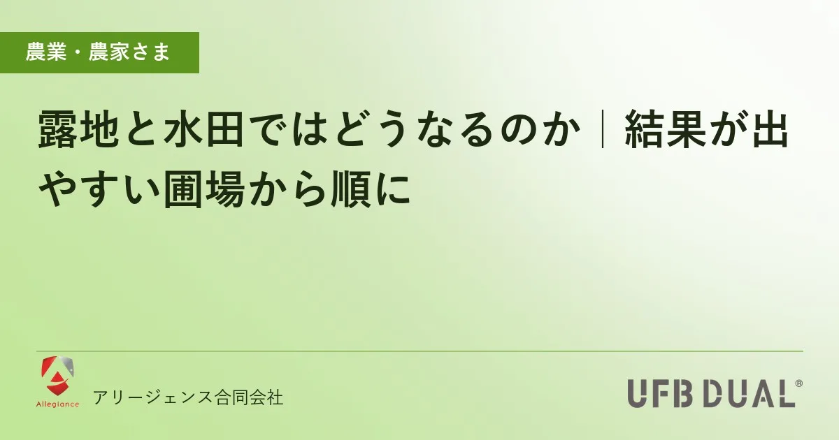 露地と水田ではどうなるのか|結果が出やすい圃場から順に