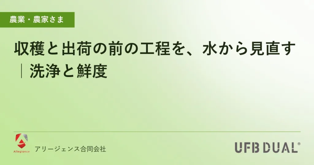 収穫と出荷の前の工程を、水から見直す｜洗浄と鮮度