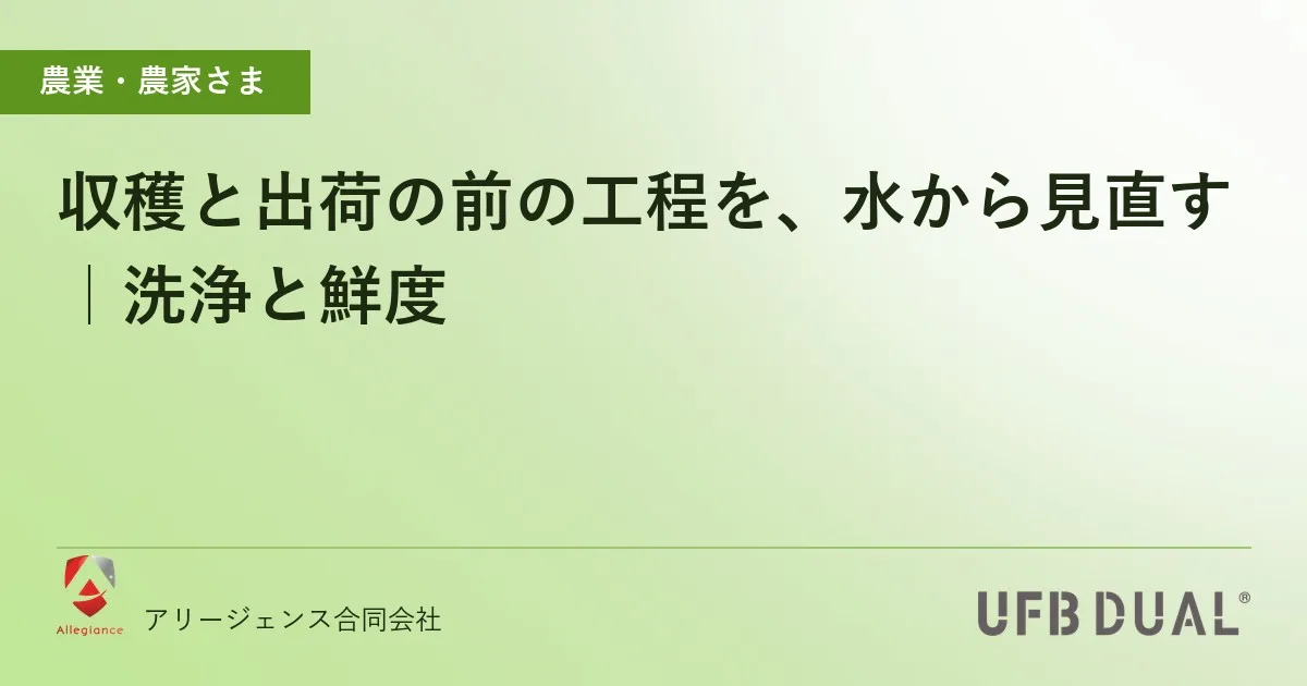 収穫と出荷の前の工程を、水から見直す|洗浄と鮮度