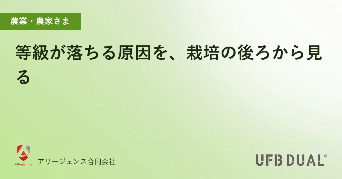 等級が落ちる原因を、栽培の後ろから見る