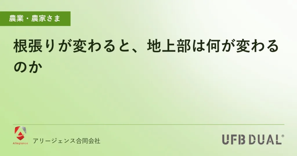 根張りが変わると、地上部は何が変わるのか