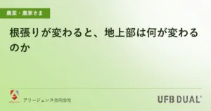 根張りが変わると、地上部は何が変わるのか