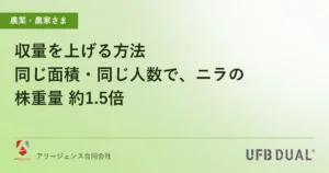 収量を上げる方法｜同じ面積・同じ人数で、ニラの株重量 約1.5倍