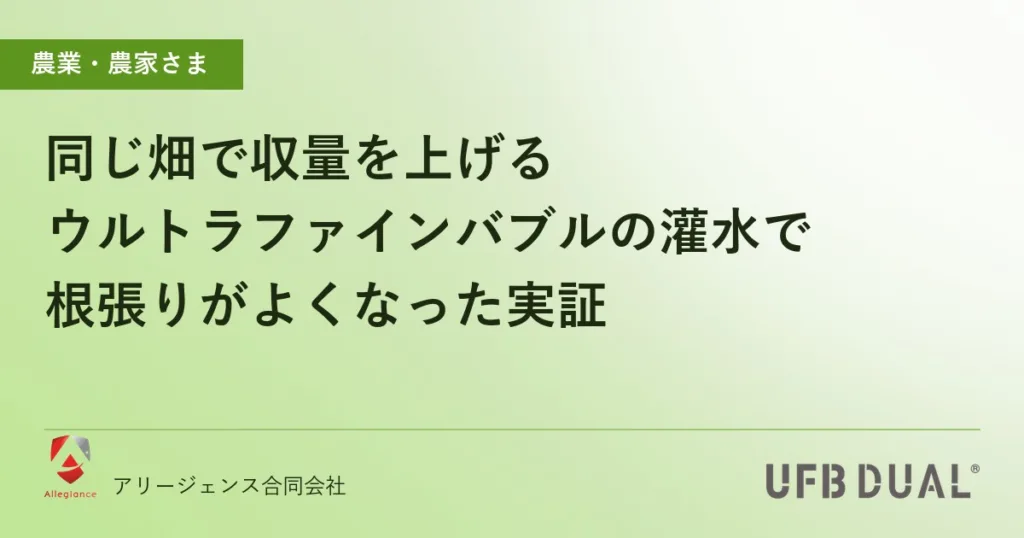 同じ畑で収量を上げる｜ウルトラファインバブルの灌水で根張りがよくなった実証