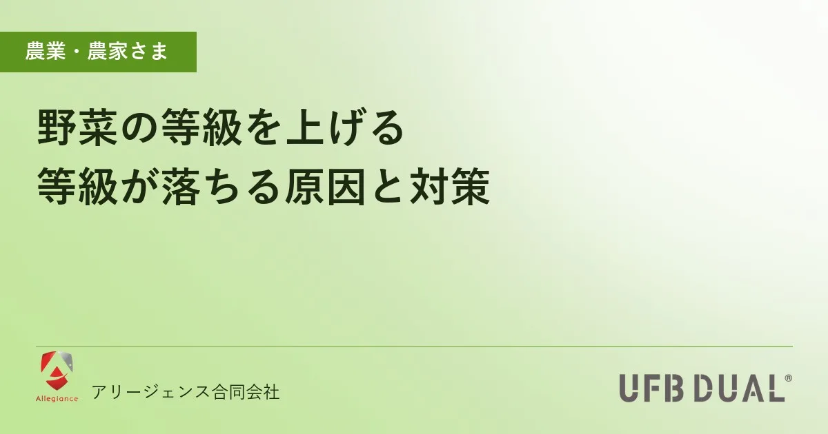 野菜の等級を上げる|等級が落ちる原因と対策